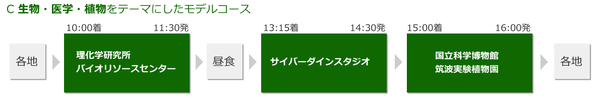 モデルコースC