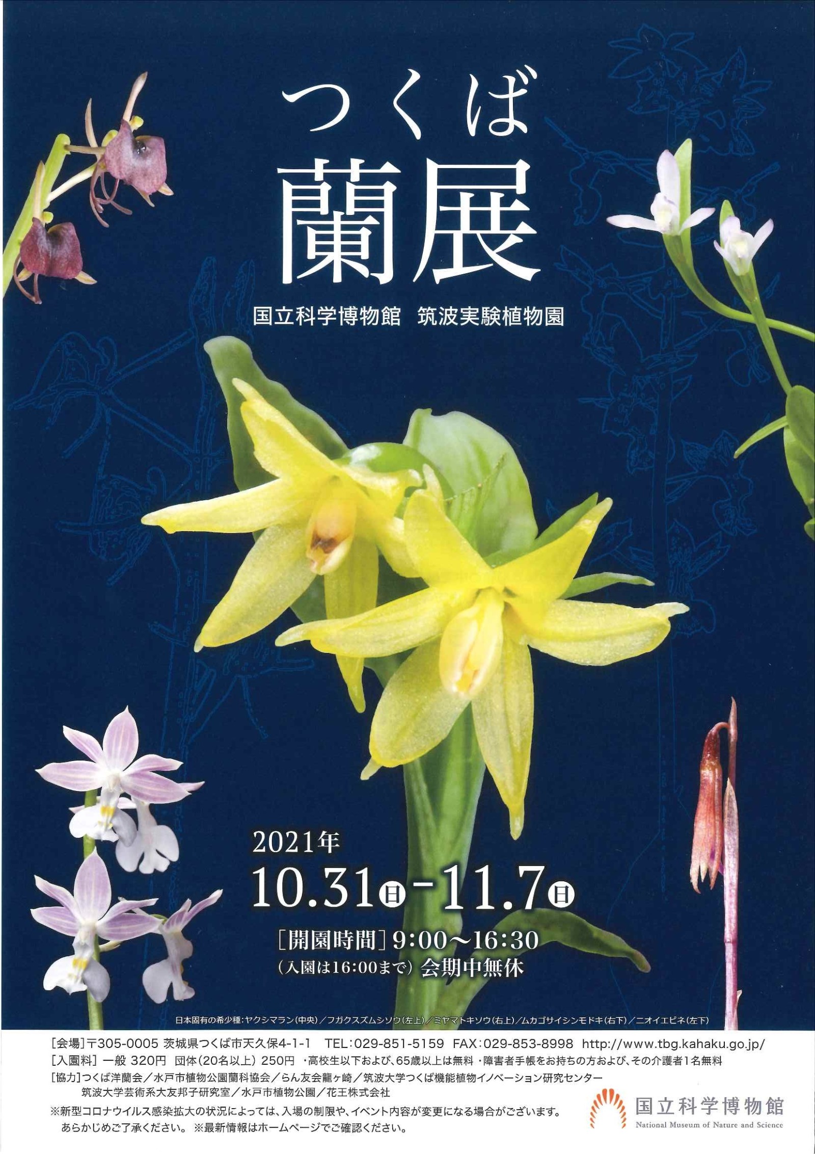 筑波研究学園都市 つくば市 の研究所 研究機関 見学施設の見学 観光支援 つくばサイエンスツアーオフィス つくば市 最新情報 筑波研究学園都市 つくば市 の研究所 研究機関 見学施設の見学 観光支援 つくばサイエンスツアーオフィス つくば市 最新情報