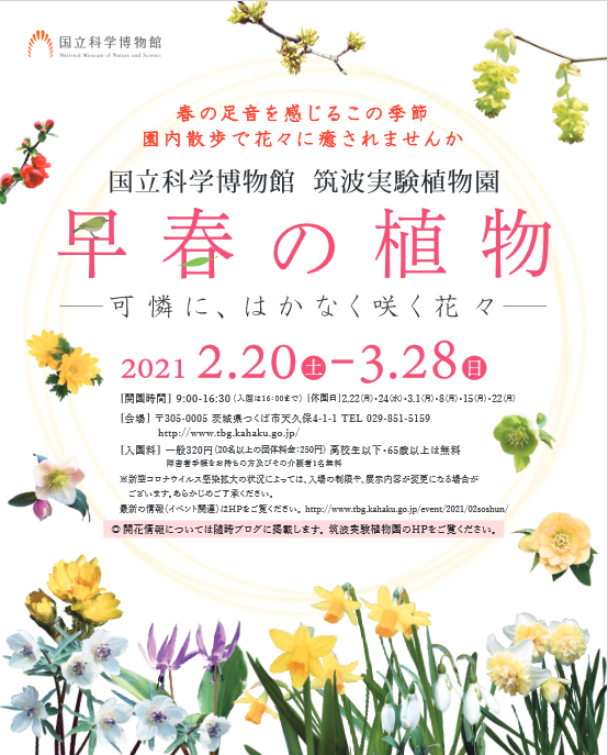 筑波研究学園都市 つくば市 の研究所 研究機関 見学施設の見学 観光支援 つくばサイエンスツアーオフィス つくば市 最新情報